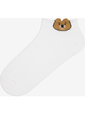 Penti Teddy Bear 3lü Patik  Çorap