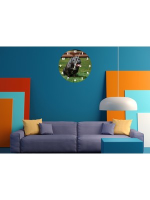 Ti Play Pitbul 30 x 30 cm  Akrilik Dekoratif Modern Duvar Saati