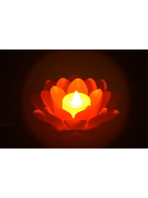 Lotus Çiçekli Lamba