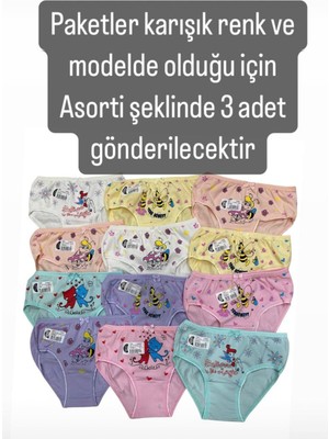 Gmş Fiyonklu Karışık Renk ve Model 3lü Kız Slip Set 3091