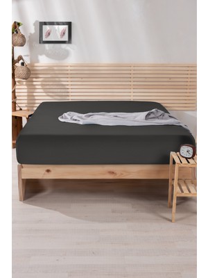 Nordqueen Ranforce  Pamuk Tek / Çift Kişilik Lastikli Çarşaf