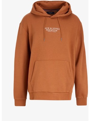 Jack&jones Jprbluarchie Sweat Hood Noos
