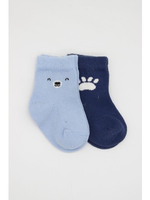 Bistyle Bear Penye Soket Çorap 2'li BS10116 Mavi