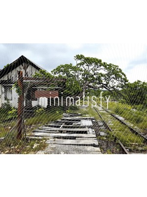 Terkedilmiş Doğa Kucaklıyor: Arka Plan 200X150CM, Stüdyo Fonu