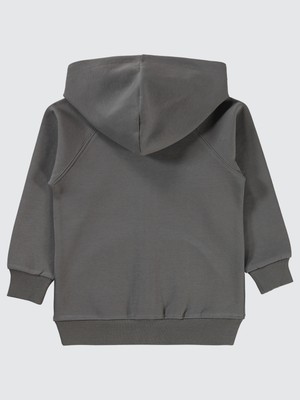 Pierre Cardin Erkek Çocuk Sweatshirt 2-5 Yaş Antrasit