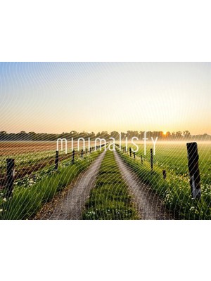 Doğanın Sıcalığıyla Dolu Harika Arka Plan, 200X150CM, Stüdyo Fonu