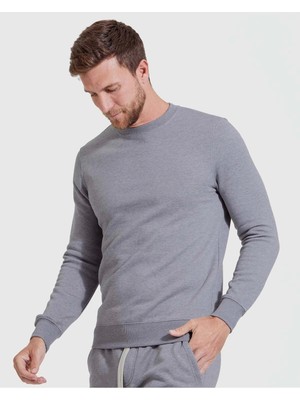 Erkek Gri Bisiklet Yaka Kapşonsuz Reguler Fit Sweatshirt