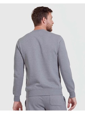 Erkek Gri Bisiklet Yaka Kapşonsuz Reguler Fit Sweatshirt