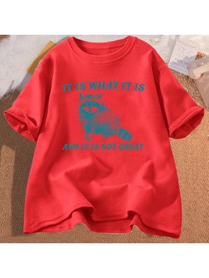 Tarz Sokak Bu Ne ve Harika Değil T Shirt Erkekler Komik Rakun Meme T-Shirt Boy Çöp Panda Merch T-Shirt G