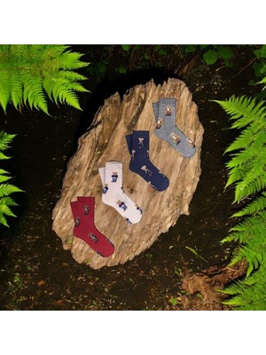 Mono Socks - 4'lü Çocuk Çoklu Teddy Bear Pamuklu Çorap