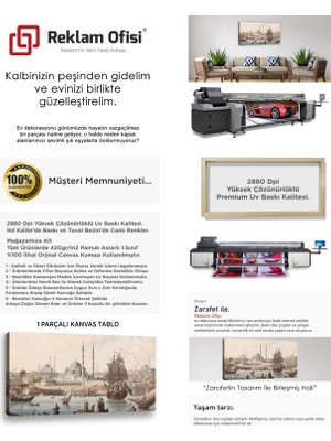 Istanbul Temalı Reprodüksiyon Modern Premium Kanvas Tablo