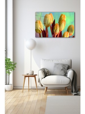 Dekoratif Duvar Tablosu Temperli Cam Tablo 72 x 46 cm