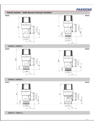 Pakkens 1/2 Dış Dişli Emniyet Ventili