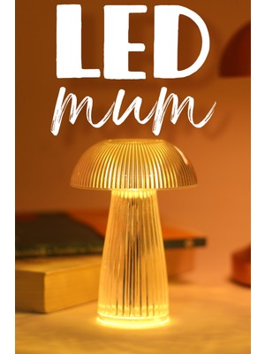 Telvesse LED Mum Kristal Tip Pil Dahil Dumansız Alev Ledli Yapay Dekoratif Mum Dekor Işığı Şeffaf PT429