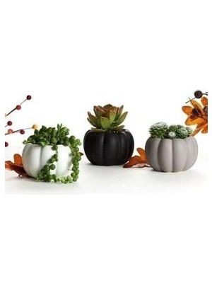 El Yapımı 3'lü Kabak Tasarımlı Mini Dekoratif Saksı