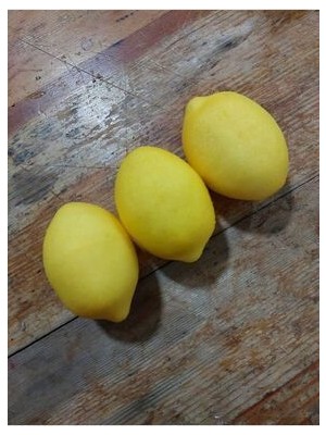 Lolipophobi Yapay Meyve, Meyve Seti, Yapay Limon Meyve, Mutfak Dekor, Dekoratif Meyve