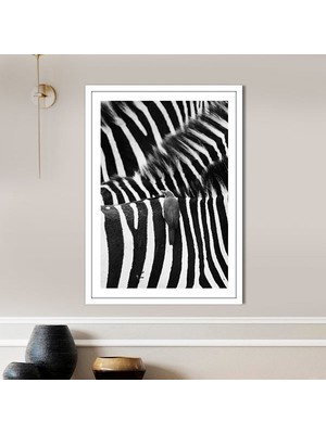 Zebra 9 Çerçeve ve Poster - H1055