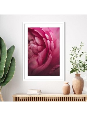 Fuşya Gül 1 Çerçeve ve Poster - B1095