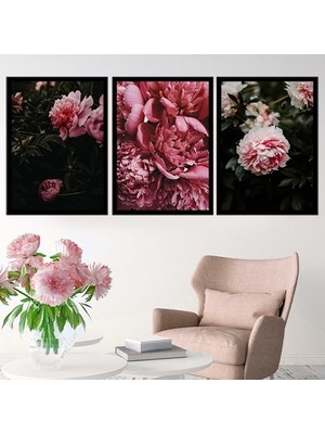 Pembe Şakayık 1 Üçlü Çerçeve ve Poster Seti - B1037