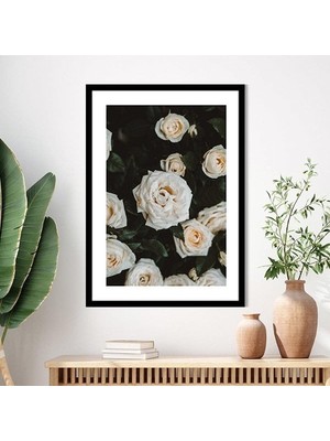 Beyaz Güller 1 Çerçeve ve Poster - B1078