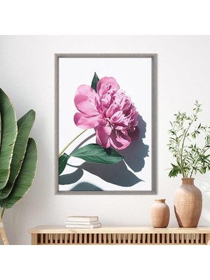 Pembe Şakayık 8 Çerçeve ve Poster - B1201