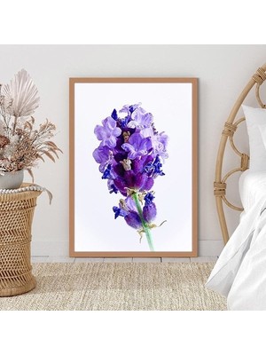 Mor Lavanta 1 Çerçeve ve Poster - B1135