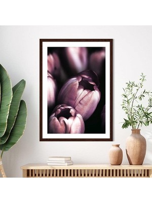 Mor Lale 2 Çerçeve ve Poster - B1138