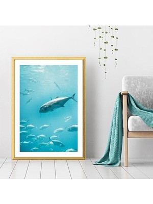 Balıklar 2 Çerçeve ve Poster - DO1039