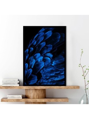 Mavi Kuş Tüyü 3 Çerçeve ve Poster - H1066