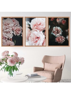 Yavru Ağzı Şakayık 1 Üçlü Çerçeve ve Poster Seti - B1047