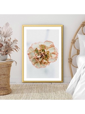 Yavru Ağzı Karanfil 1 Çerçeve ve Poster - B1197