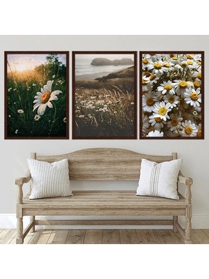 Papatyalar Üçlü Çerçeve ve Poster Seti - B1025