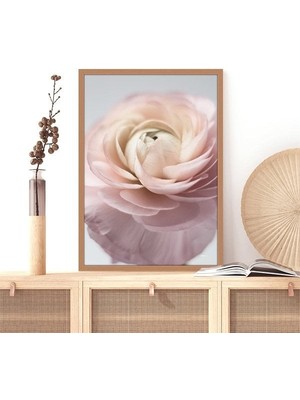 Pembe Gül 7 Çerçeve ve Poster - B1170
