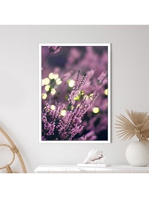 Mor Lavanta 2 Çerçeve ve Poster - B1139
