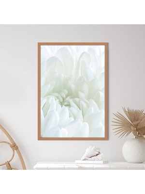 Beyaz Gül 5 Çerçeve ve Poster - B1229