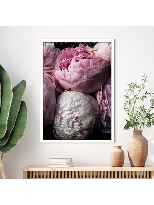 Pembe Şakayık 7 Çerçeve ve Poster - B1200