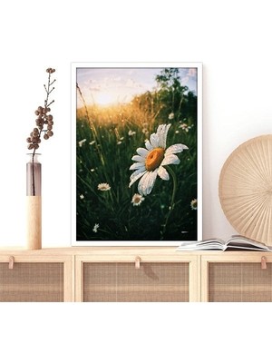 Papatyalar 1 Çerçeve ve Poster - B1147