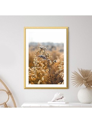 Kahverengi Otlar 3 Çerçeve ve Poster - B1108