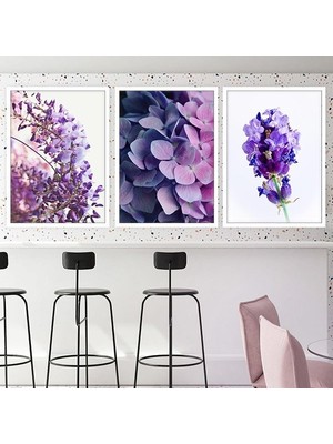 Mor Lavanta Üçlü Çerçeve ve Poster Seti - B1020