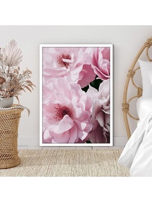 Pembe Şakayık 5 Çerçeve ve Poster - B1179