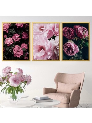 Pembe Şakayık 2 Üçlü Çerçeve ve Poster Seti - B1036