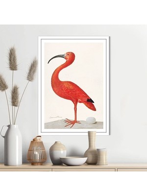 Flamingo 4 Çerçeve ve Poster - H1074