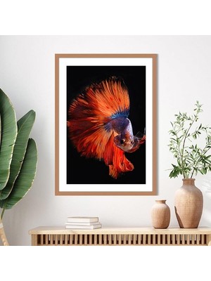 Turuncu Balık 1 Çerçeve ve Poster - H1018