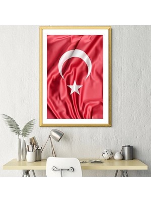 Bayrak 2 Çerçeve ve Poster - ATA1010