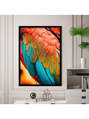 Rengarenk Papağan Tüyleri 2 Çerçeve ve Poster - H1037