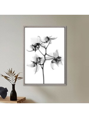 Gölgeli Bitki 1 Çerçeve ve Poster - B1100