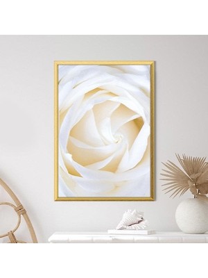 Beyaz Güller 2 Çerçeve ve Poster - B1222