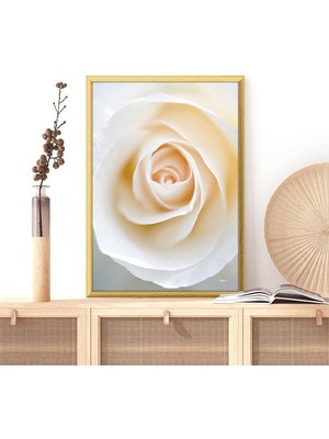 Beyaz Güller 3 Çerçeve ve Poster - B1221