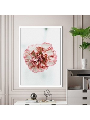 Pembe Karanfil 1 Çerçeve ve Poster - B1163