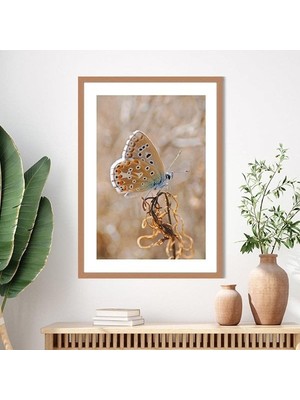 Ota Konan Kelebek 1 Çerçeve ve Poster - B1076